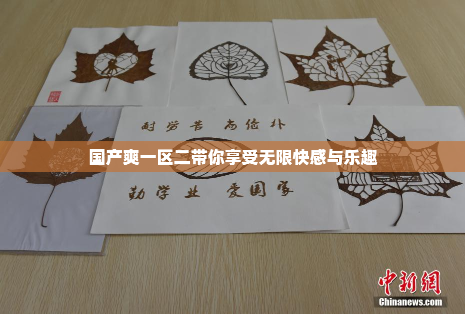 国产爽一区二带你享受无限快感与乐趣