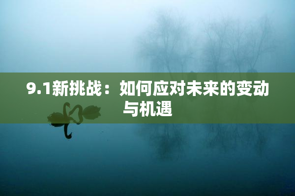 9.1新挑战：如何应对未来的变动与机遇