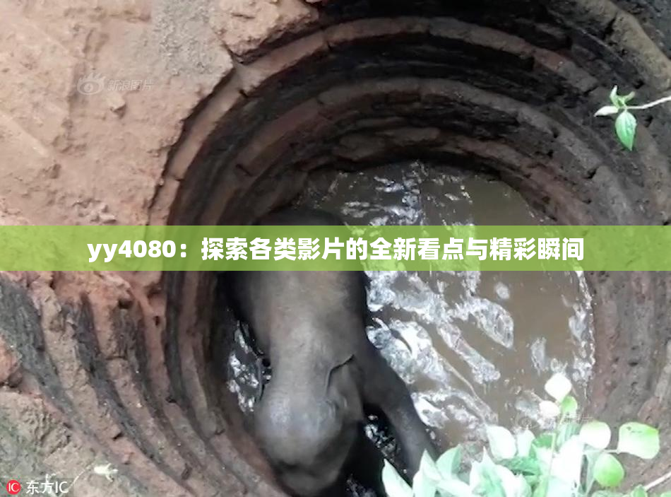 yy4080：探索各类影片的全新看点与精彩瞬间