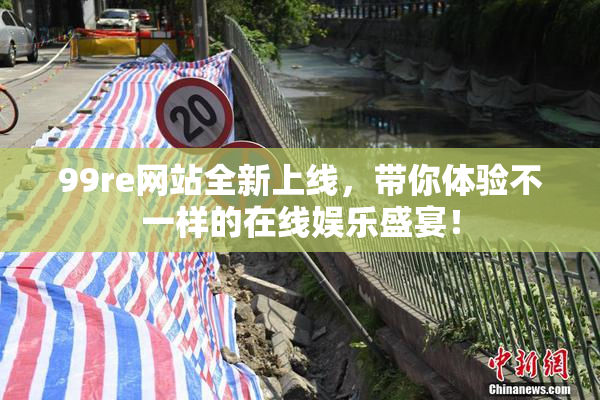 99re网站全新上线，带你体验不一样的在线娱乐盛宴！