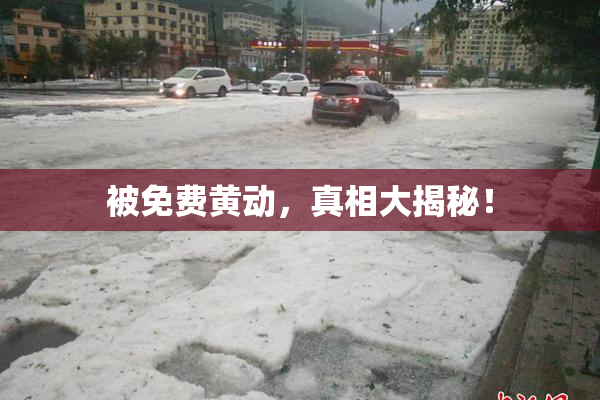 被免费黄动，真相大揭秘！