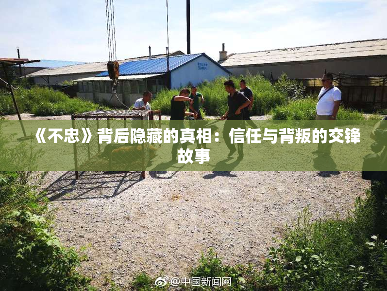 《不忠》背后隐藏的真相：信任与背叛的交锋故事