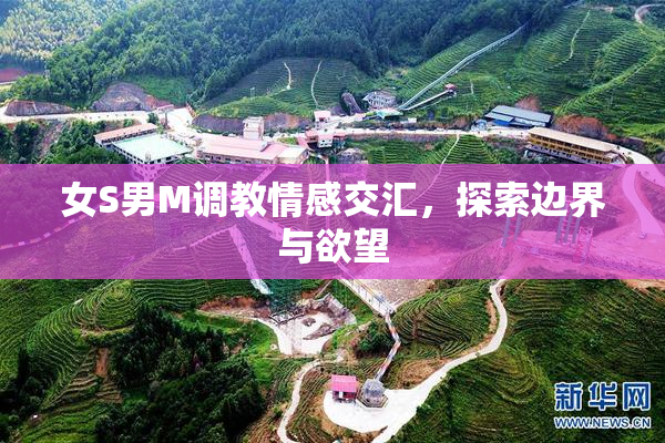 女S男M调教情感交汇，探索边界与欲望