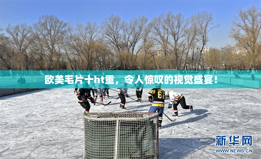 欧美毛片十ht重，令人惊叹的视觉盛宴！