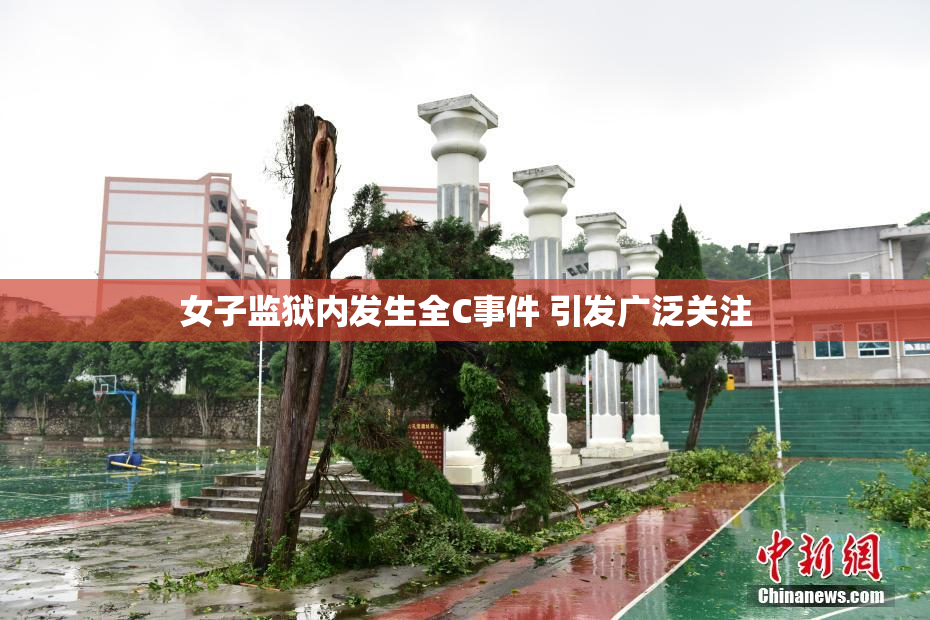 女子监狱内发生全C事件 引发广泛关注
