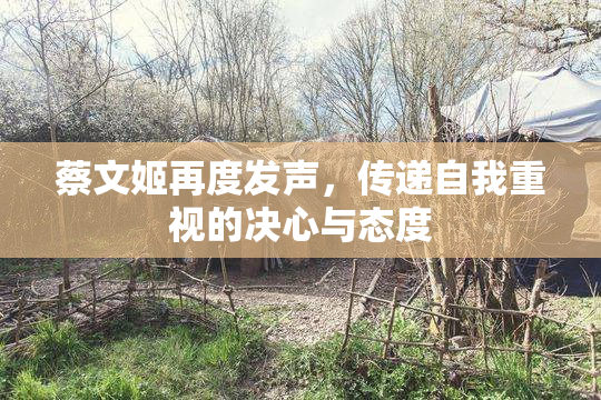 蔡文姬再度发声，传递自我重视的决心与态度