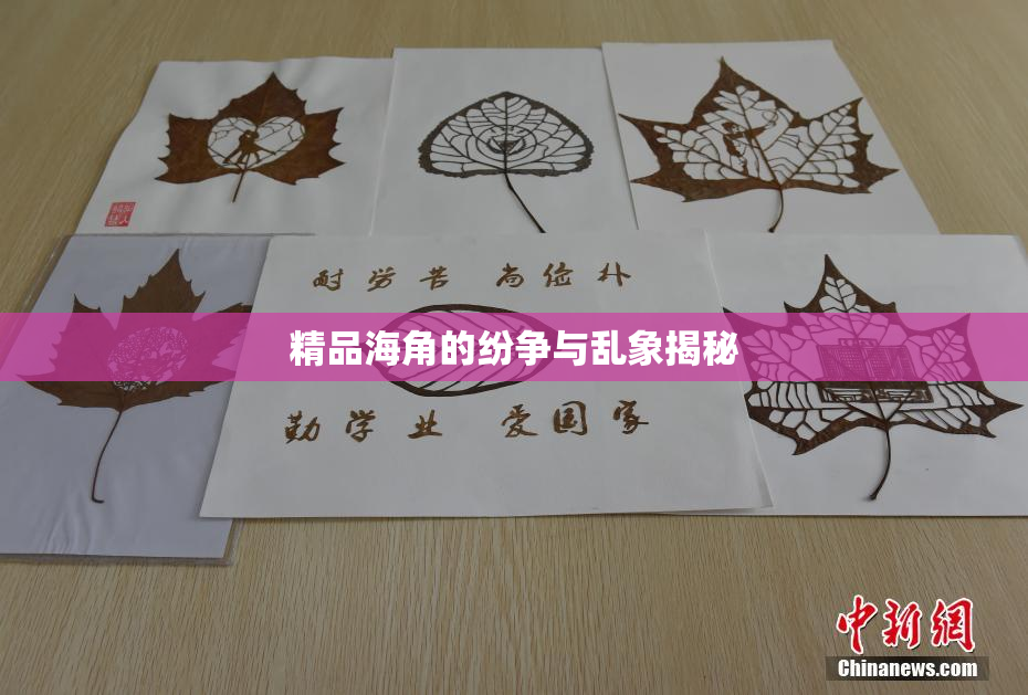 精品海角的纷争与乱象揭秘