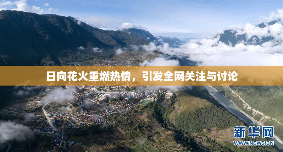日向花火重燃热情，引发全网关注与讨论