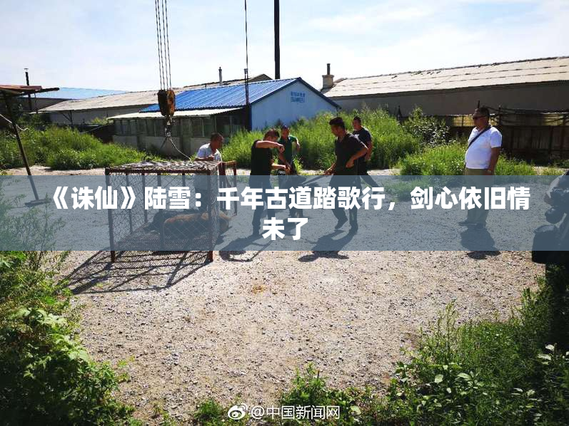 《诛仙》陆雪：千年古道踏歌行，剑心依旧情未了