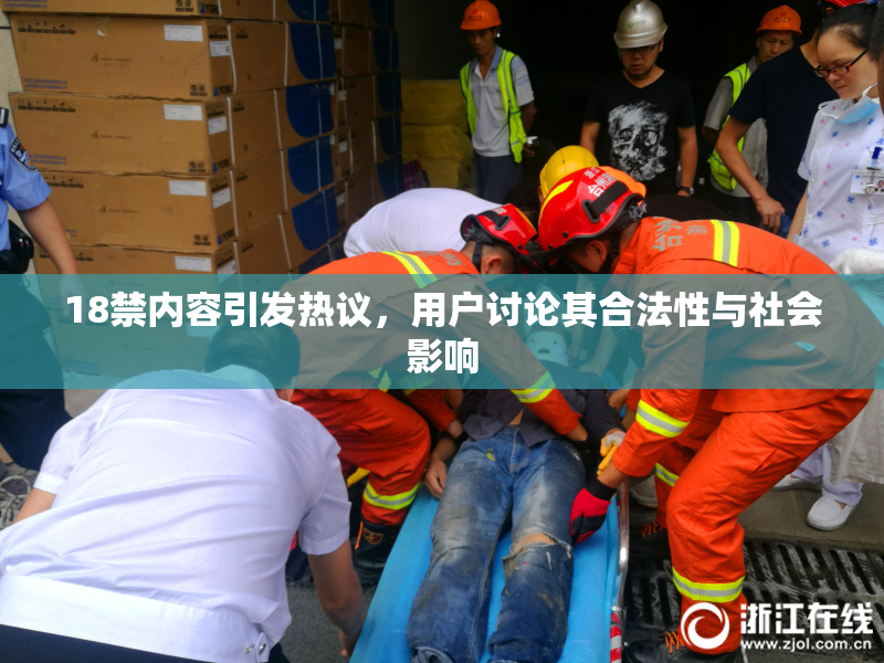 18禁内容引发热议，用户讨论其合法性与社会影响