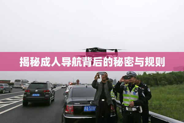 揭秘成人导航背后的秘密与规则