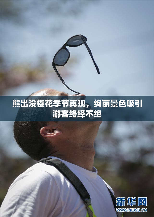 熊出没樱花季节再现，绚丽景色吸引游客络绎不绝