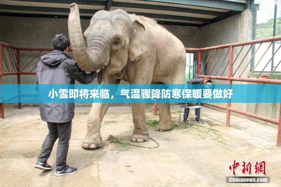 小雪即将来临，气温骤降防寒保暖要做好
