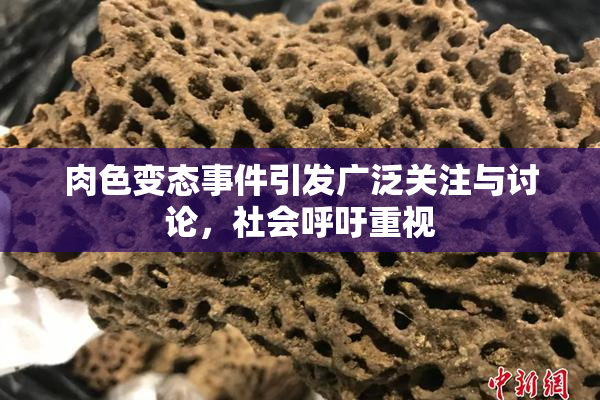 肉色变态事件引发广泛关注与讨论，社会呼吁重视