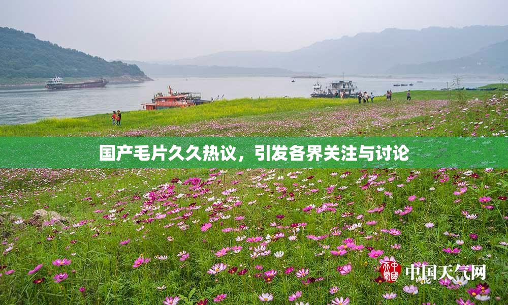 国产毛片久久热议，引发各界关注与讨论