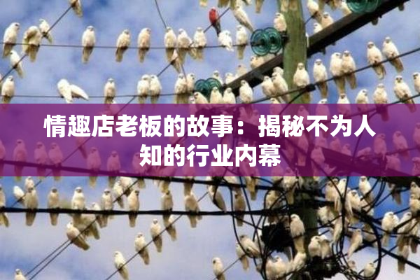情趣店老板的故事：揭秘不为人知的行业内幕