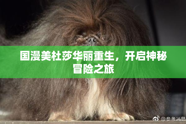 国漫美杜莎华丽重生，开启神秘冒险之旅