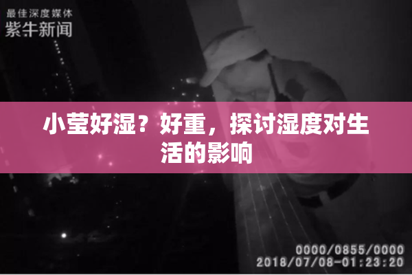 小莹好湿？好重，探讨湿度对生活的影响