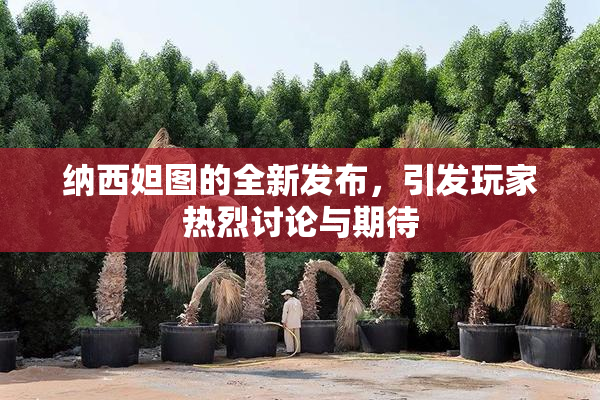 纳西妲图的全新发布，引发玩家热烈讨论与期待