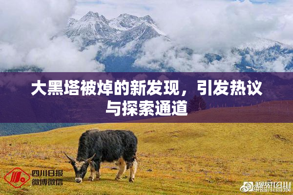 大黑塔被焯的新发现，引发热议与探索通道