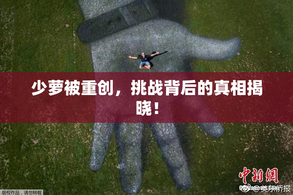 少萝被重创，挑战背后的真相揭晓！