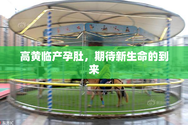 高黄临产孕肚，期待新生命的到来