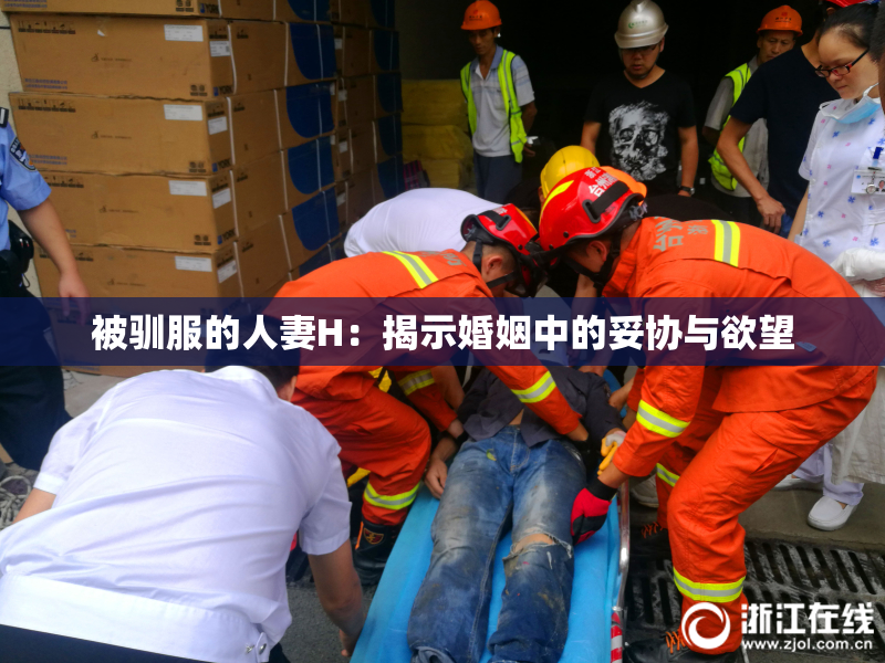 被驯服的人妻H：揭示婚姻中的妥协与欲望
