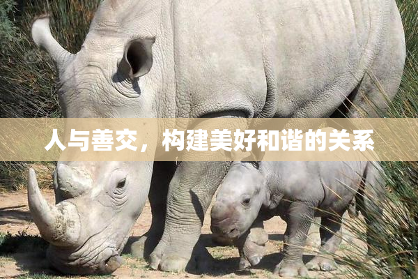 人与善交，构建美好和谐的关系