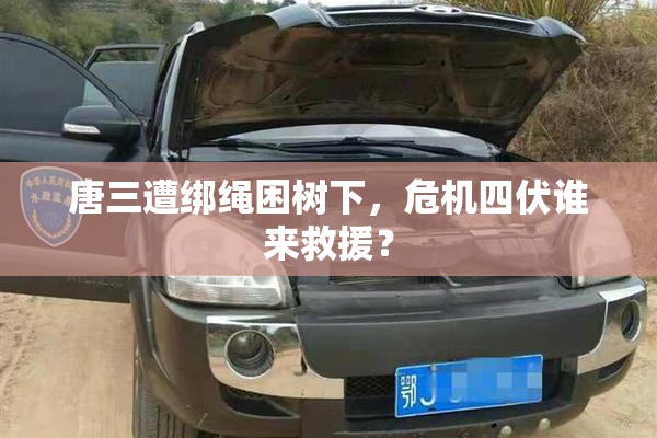 唐三遭绑绳困树下，危机四伏谁来救援？