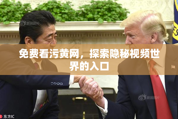 免费看污黄网，探索隐秘视频世界的入口