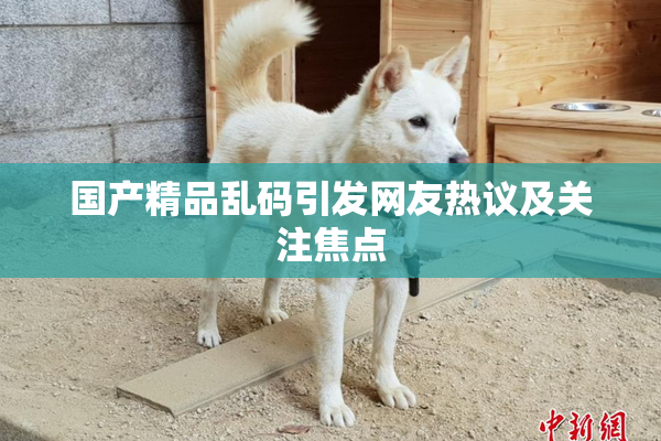 国产精品乱码引发网友热议及关注焦点