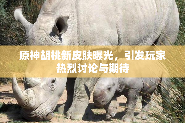 原神胡桃新皮肤曝光，引发玩家热烈讨论与期待