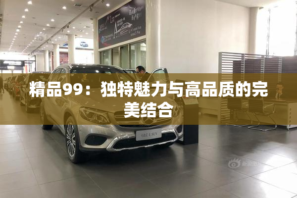精品99：独特魅力与高品质的完美结合