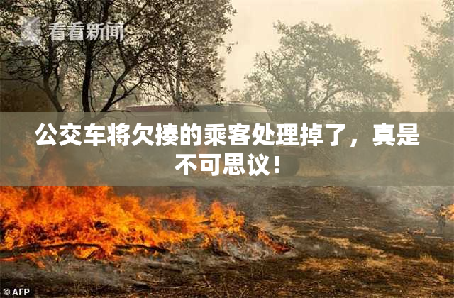 公交车将欠揍的乘客处理掉了，真是不可思议！