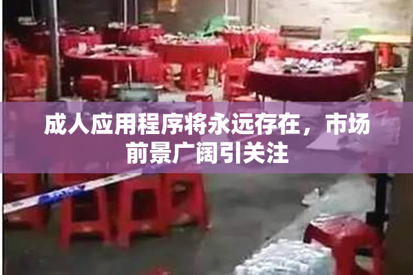 成人应用程序将永远存在，市场前景广阔引关注