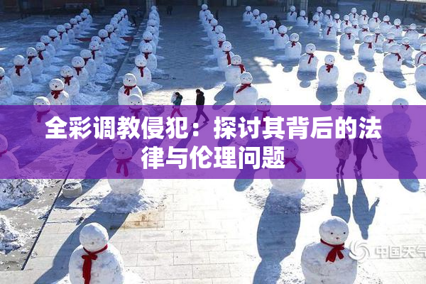 全彩调教侵犯：探讨其背后的法律与伦理问题