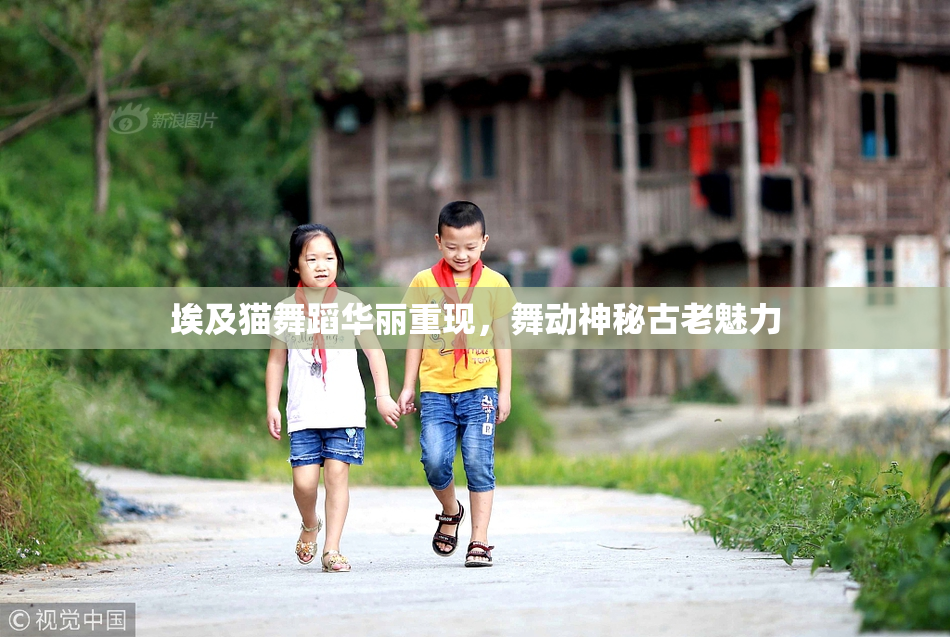 埃及猫舞蹈华丽重现，舞动神秘古老魅力