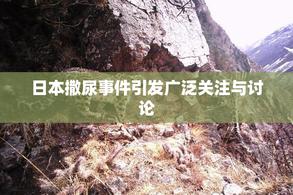 日本撒尿事件引发广泛关注与讨论