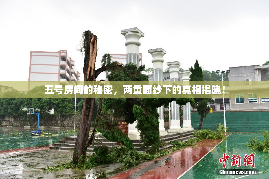 五号房间的秘密，两重面纱下的真相揭晓！