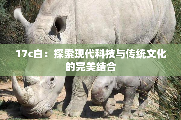 17c白：探索现代科技与传统文化的完美结合