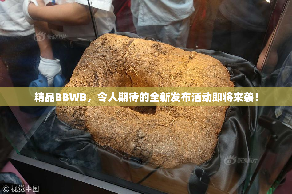 精品BBWB，令人期待的全新发布活动即将来袭！
