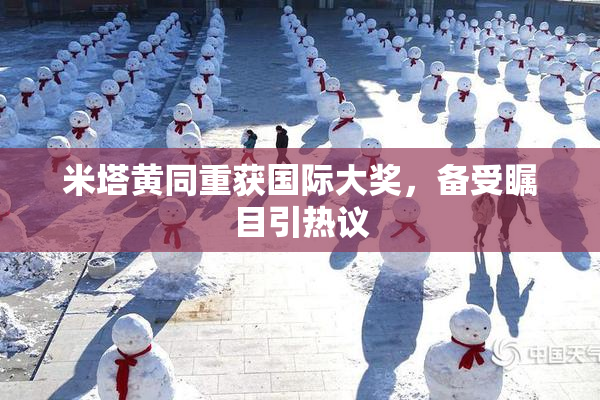 米塔黄同重获国际大奖，备受瞩目引热议