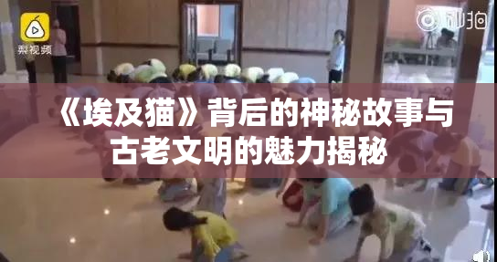 《埃及猫》背后的神秘故事与古老文明的魅力揭秘