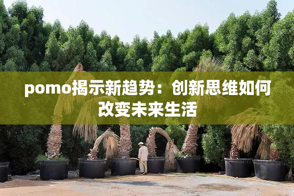 pomo揭示新趋势：创新思维如何改变未来生活