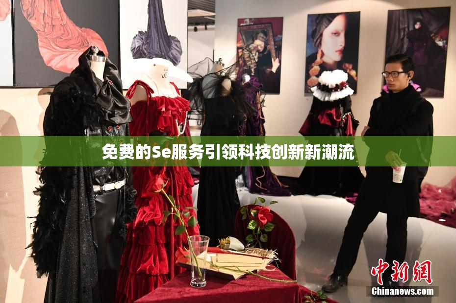 免费的Se服务引领科技创新新潮流