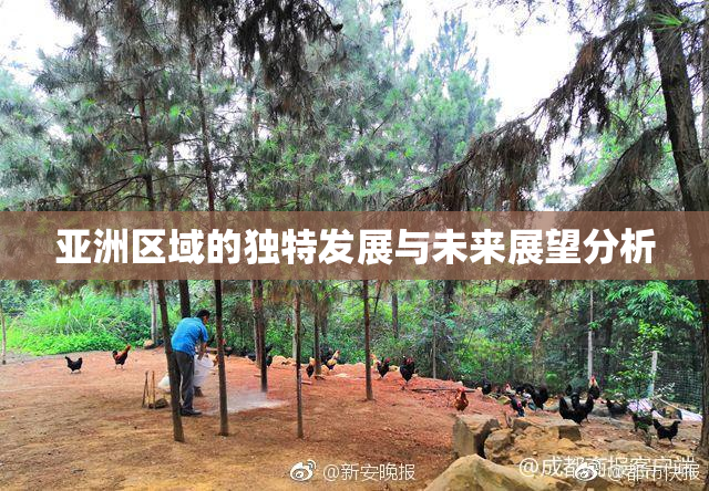 亚洲区域的独特发展与未来展望分析