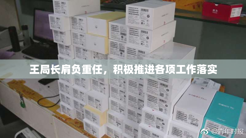 王局长肩负重任，积极推进各项工作落实