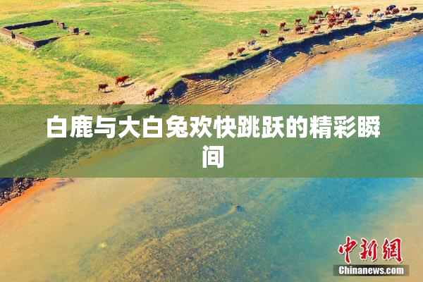 白鹿与大白兔欢快跳跃的精彩瞬间