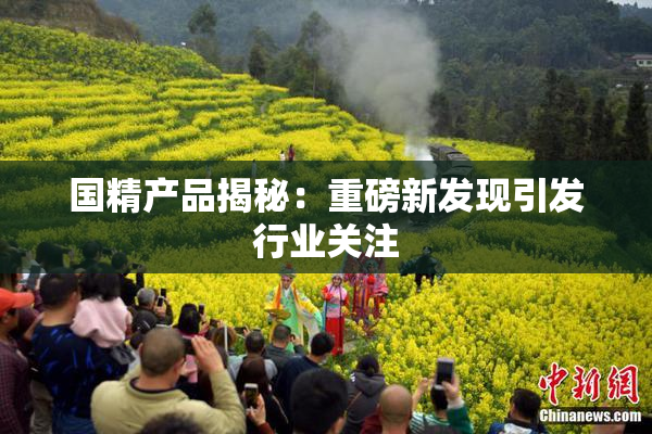 国精产品揭秘：重磅新发现引发行业关注