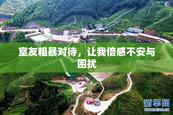 室友粗暴对待，让我倍感不安与困扰